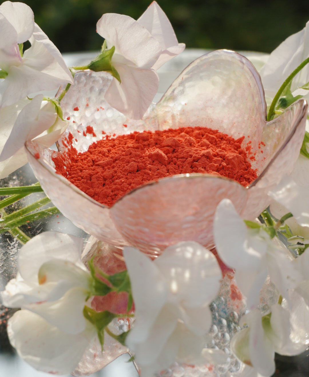 Peach Equinox Loose Blush
