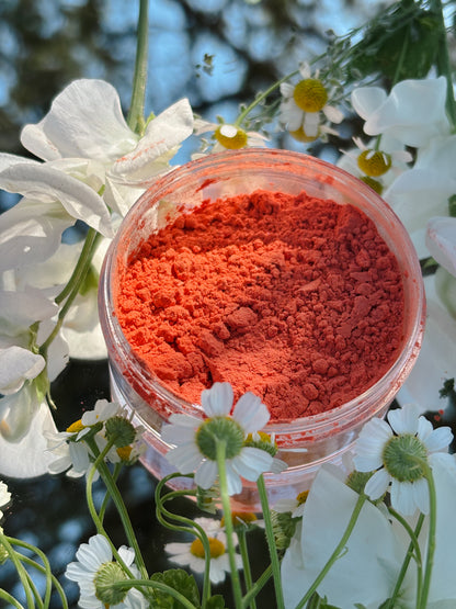 Peach Equinox Loose Blush